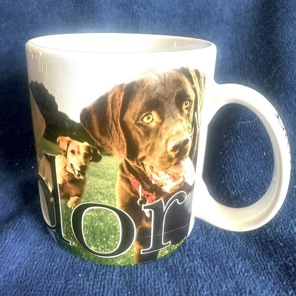 Americaware LABRADOR Coffee Mug 18 Oz  3D Embossed Cup 2018 Lab Dog Canine Cup